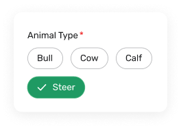 Animal Type