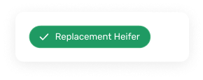 revamp PDF