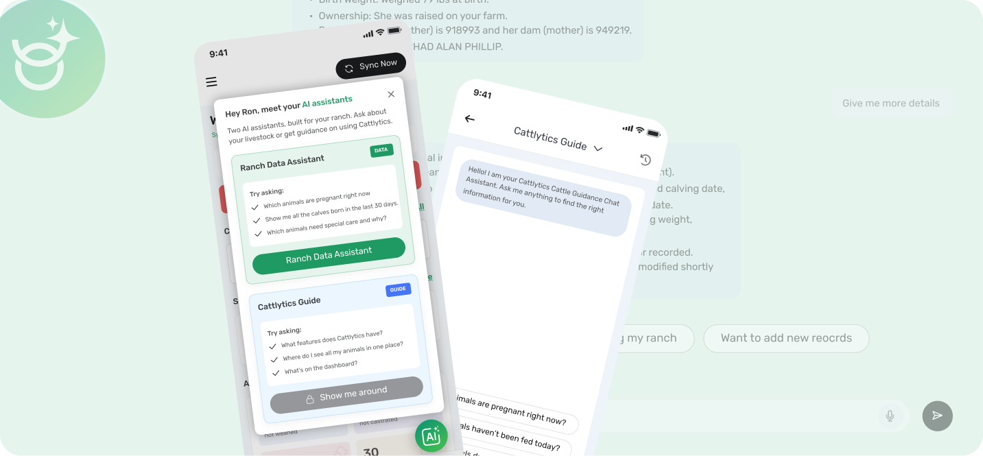 AI Assistant